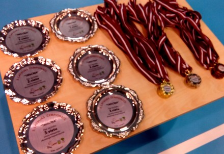 Noslēdzies Latvijas čempionāta atlētiskajā vingrošanā 3.posms