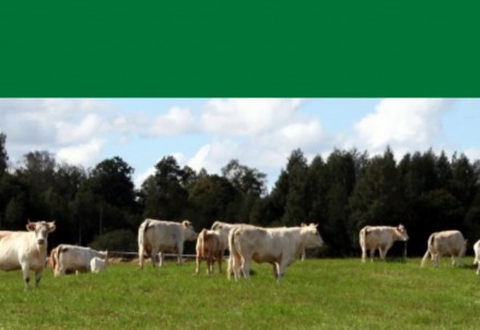 Informācija klientiem par LLKC darbību COVID-19 laikā