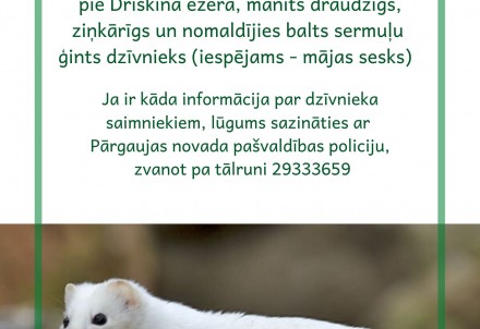 Saimniek, atsaucies!