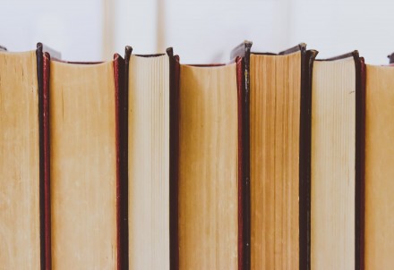 Jaunākās grāmatas Straupes pagasta bibliotēkā