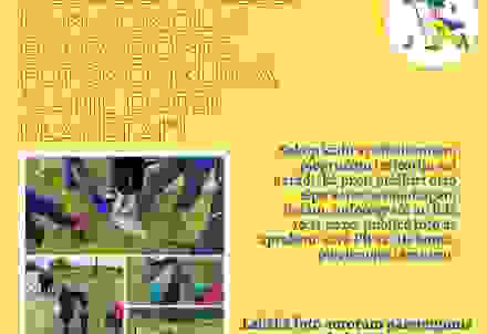 Stalbes pamatskolas Ekopadome aicina piedalīties fotokonkursā “Labie darbi planētai!”
