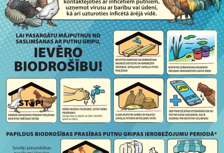 Mājputnu turēšanas ierobežojumi putnu gripas izplatīšanas ierobežošanai