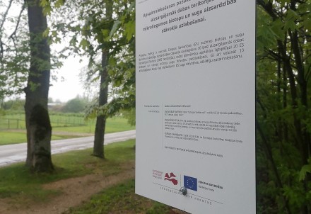 Sāks vairāku aizsargājamo aleju inventarizāciju