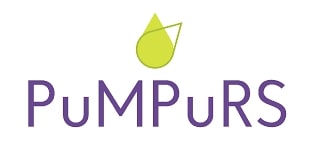 Projektā “PuMPuRS” iesaistījušās visas Pārgaujas apvienības pārvaldē esošās skolas