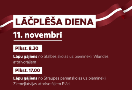 Lāčplēša diena Pārgaujas apvienībā
