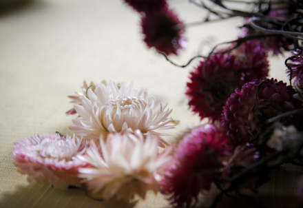 Nedēļas nogales pasākumi Cēsu novadā 7.11. – 9.11.